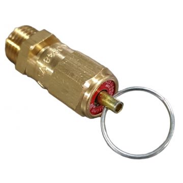 VEILIGHEIDSVENTIEL 1/4" U 8 BAR MET RINGBLOKKERING