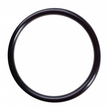 ANTARES O-RING TBV KOPPELEN 1/4" COMPONENTEN