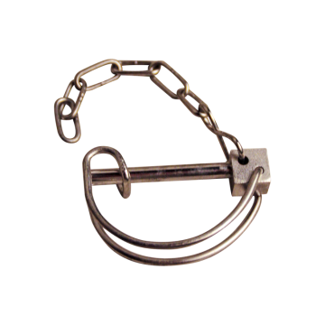 Borgpen met ketting Ø7mmmm 69mm RVS tbv Ifor Williams