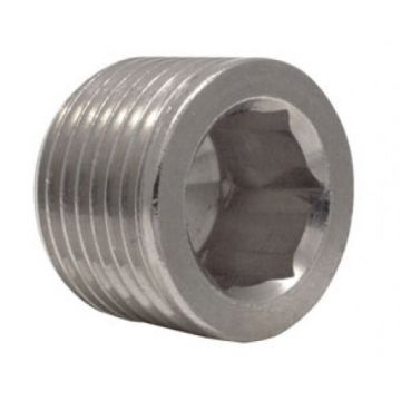 AFDICHTSTOP MET INBUS KOP 1/4" SCHROEFDRAAD