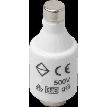 Zekering 20 Ampere traag per 5 stuks